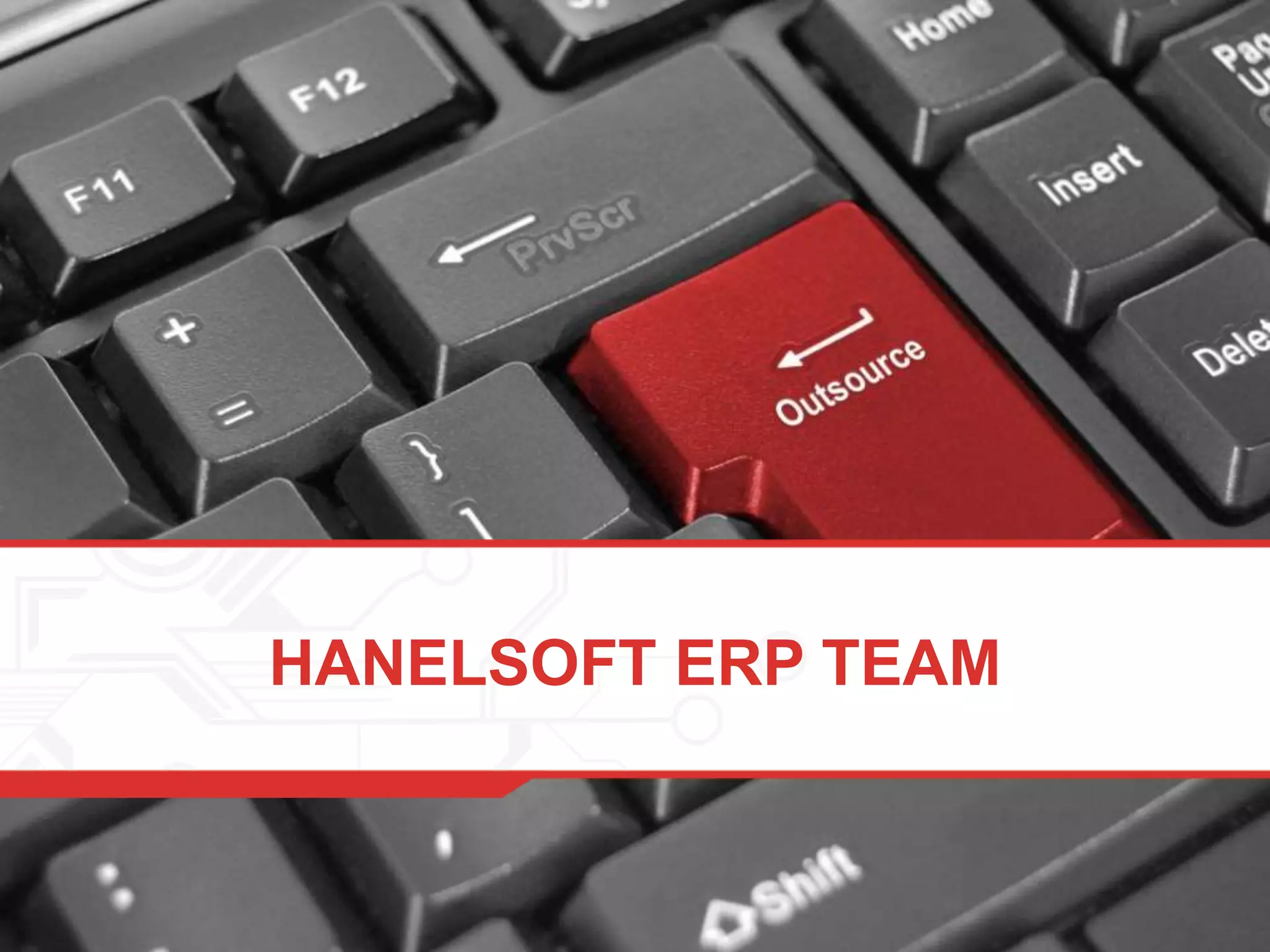 HANELSOFT ERP TEAM
 