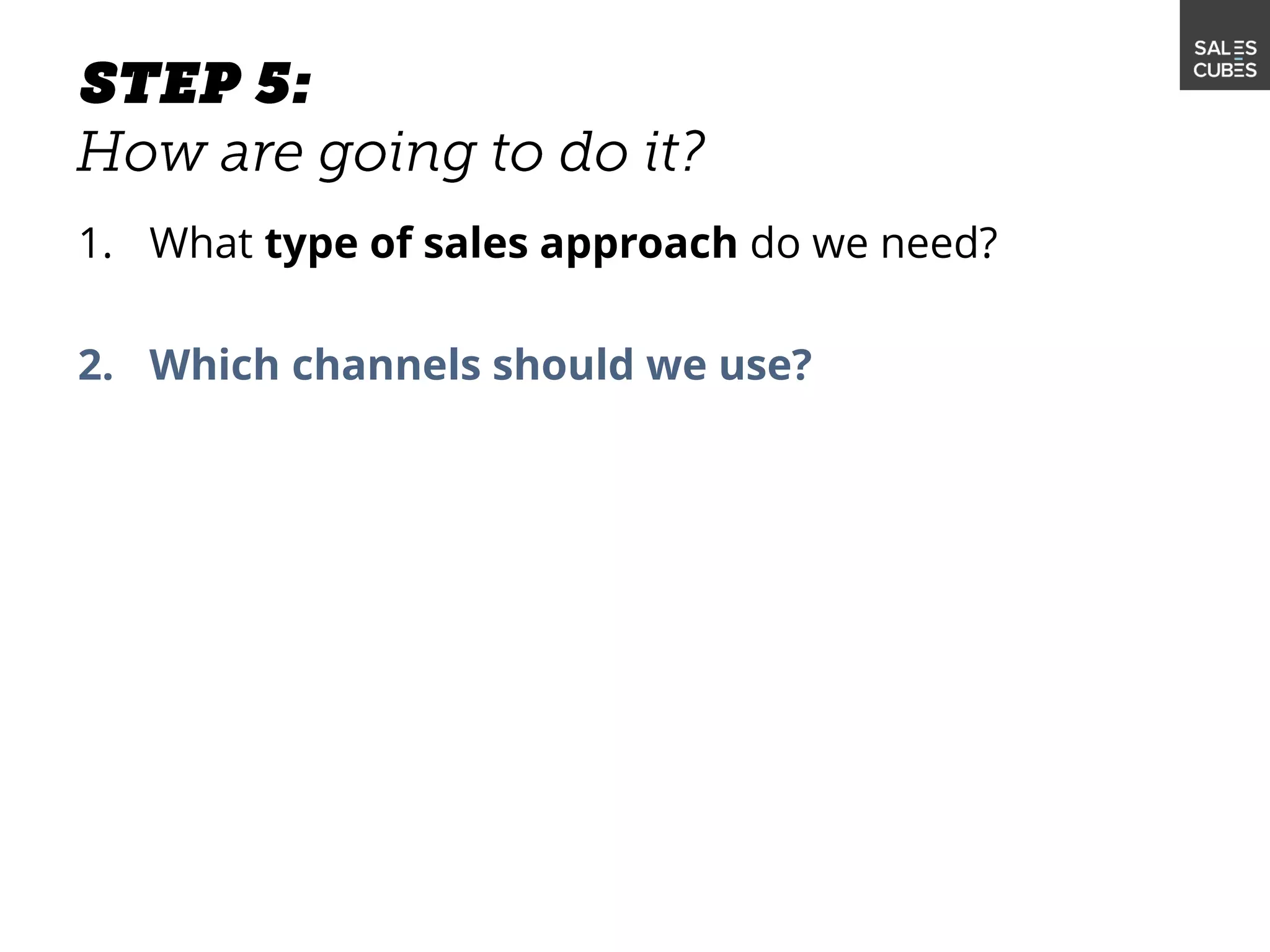 1. What type of sales approach do we need?
2. Which channels should we use?
 