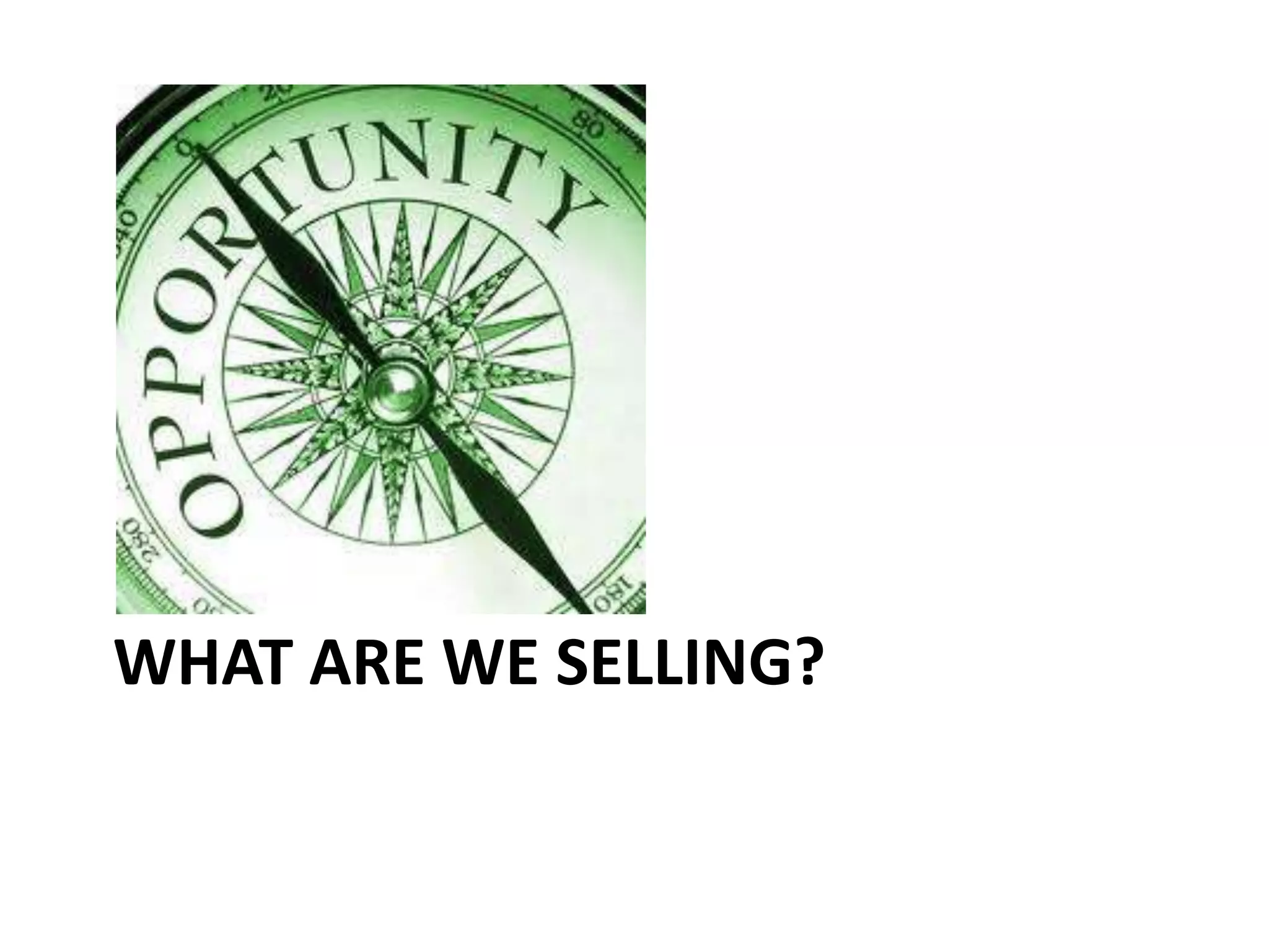 WHAT ARE WE SELLING?
 