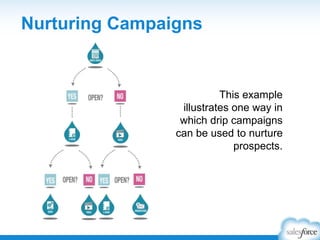 Nurturing Campaigns
This example
illustrates one way in
which drip campaigns
can be used to nurture
prospects.
 