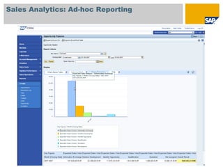 Sales Analytics: Ad-hoc Reporting
 
