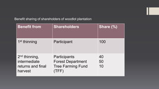 Sal forest management | PPTX