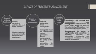 Sal forest management | PPTX