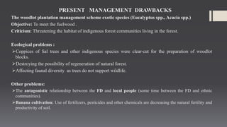 Sal forest management | PPTX