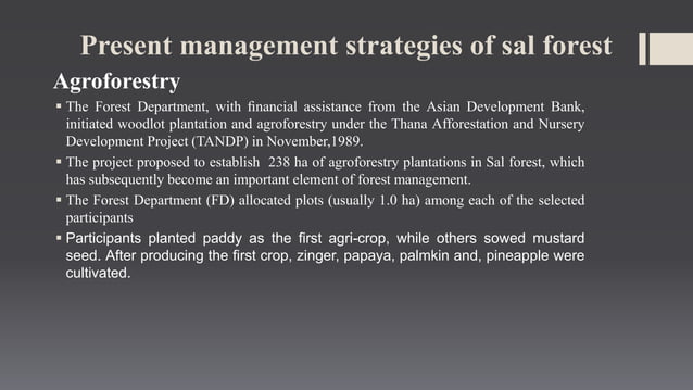 Sal forest management | PPTX