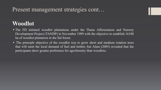Sal forest management | PPTX