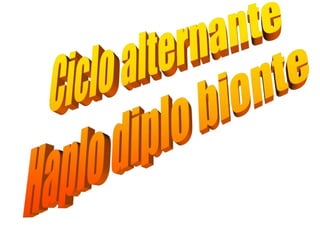 2S- Só algas resumido com reprodução_ abril 2015