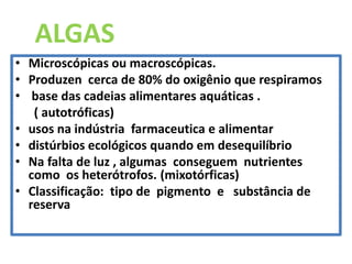 ALGAS
• Microscópicas ou macroscópicas.
• Produzen cerca de 80% do oxigênio que respiramos
• base das cadeias alimentares aquáticas .
( autotróficas)
• usos na indústria farmaceutica e alimentar
• distúrbios ecológicos quando em desequilíbrio
• Na falta de luz , algumas conseguem nutrientes
como os heterótrofos. (mixotórficas)
• Classificação: tipo de pigmento e substância de
reserva
 