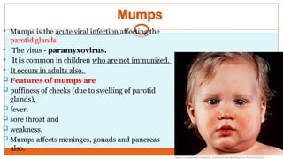 Salivary and Gastric Glands Secretions and functions.pptx