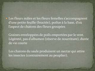 Les fleurs mâles et les fleurs femelles s’accompagnent
d’une petite feuille (bractée), poilue à la base, d’où
l’aspect de chatons des fleurs groupées
Graines enveloppées de poils emportées par le vent.
Légèreté, pas d’albumen (réserve de nourriture), durée
de vie courte
Les chatons du saule produisent un nectar qui attire
les insectes (contrairement au peuplier).
 