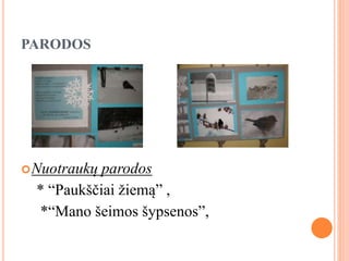 PARODOS
Nuotraukų parodos
* “Paukščiai žiemą” ,
*“Mano šeimos šypsenos”,
 