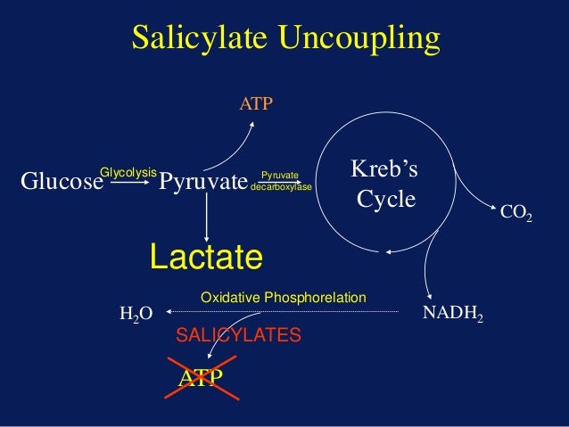 Salicylate Poisoning