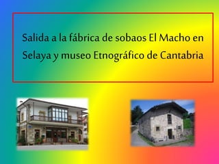 Salida a la fábrica de sobaos El Macho en
Selaya y museo Etnográfico de Cantabria
 