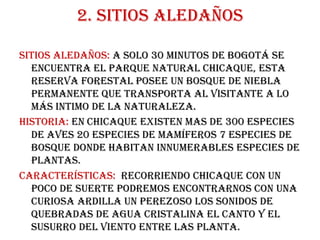 2. Sitios aledañossitios aledaños: A solo 30 minutos de Bogotá se encuentra el parque natural Chicaque, esta reserva forestal posee un bosque de niebla permanente que transporta al visitante a lo más intimo de la naturaleza.Historia: enchicaque existen mas de 300 especies de aves 20 especies de mamíferos 7 especies de bosque donde habitan innumerables especies de plantas.Características:  Recorriendo chicaque con un poco de suerte podremos encontrarnos con una curiosa ardilla un perezoso los sonidos de quebradas de agua cristalina el canto y el susurro del viento entre las planta.  
