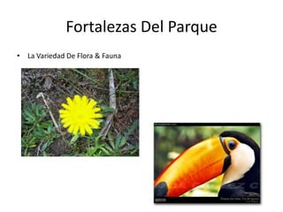 Fortalezas Del ParqueLa Variedad De Flora & Fauna