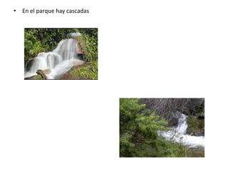 En el parque hay cascadas