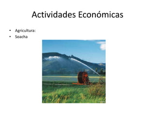 Actividades EconómicasAgricultura:Soacha