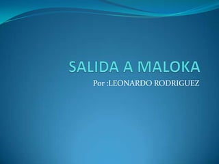 SALIDA A MALOKA Por :LEONARDO RODRIGUEZ 
