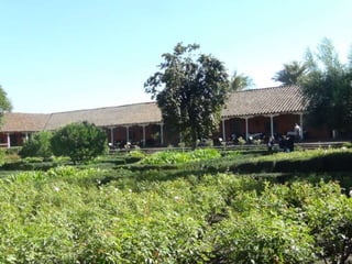 Salida a museo andino