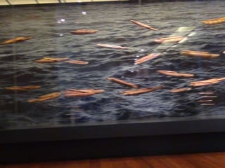 Salida a museo andino