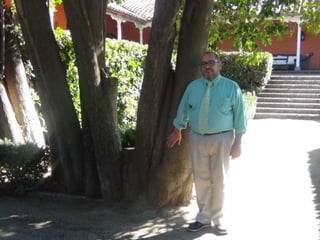 Salida a museo andino