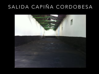 S A L I D A C A P I Ñ A C O R D O B E S A
 