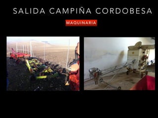 S A L I D A C A M P I Ñ A C O R D O B E S A
M A Q U I N A R I A
 