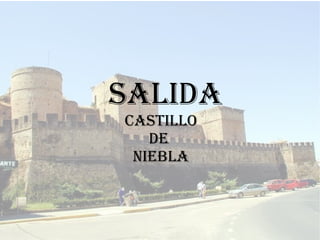 SALIDA  CASTILLO  DE  NIEBLA 