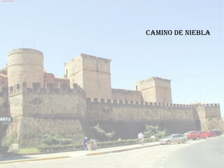 CAMINO DE nIEBLA