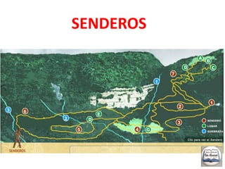 No llevar Jeans – (sudadera)