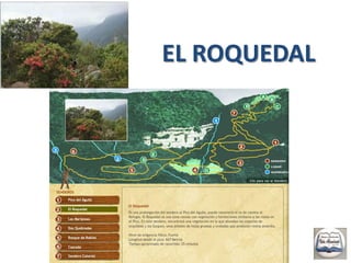 Zapatos cómodos con suela de agarre, que protejan el tobillo