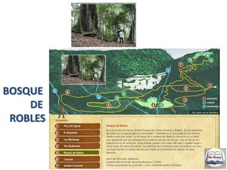 La maleta que se lleva debe ser liviana y que no ocupe las manos