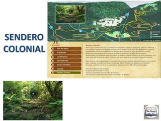 Linterna (opcional)ACTIVIDADES actividades de descansoLa caminata por los senderos 