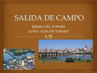 RIBERA DEL TORMES
ZONA: ALBA DE TORMES
 