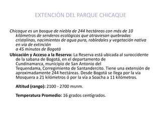 EXTENCIÓN DEL PARQUE CHICAQUEChicaque es un bosque de niebla de 244 hectáreas con más de 10 kilómetros de senderos ecológicos que atraviesan quebradas cristalinas, nacimientos de agua pura, robledales y vegetación nativa en vía de extinción a 45 minutos de BogotáUbicación y Acceso a la Reserva: La Reserva está ubicada al suroccidente de la sabana de Bogotá, en el departamento de Cundinamarca, municipio de San Antonio del Tequendama, Corregimiento de Santandercito. Tiene una extensión de aproximadamente 244 hectáreas. Desde Bogotá se llega por la vía Mosquera a 21 kilómetros ó por la vía a Soacha a 11 kilómetros.    Altitud (rango): 2100 - 2700 msnm.    Temperatura Promedio: 16 grados centígrados.