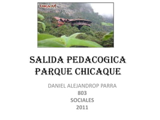 SALIDA PEDACOGICA PARQUE CHICAQUE DANIEL ALEJANDROP PARRA 803 SOCIALES 2011 