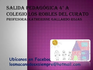 SALIDA PEDAGÓGICA 4° A
COLEGIO LOS ROBLES DEL CURATO
Profesora: Katherinne Gallardo Rojas




 Ubícanos en Facebook:
 losmacanudosxsiempre@hotmail.com
 