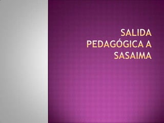 Salida pedagógica a Sasaima 