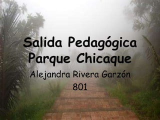 Salida Pedagógica Parque Chicaque<br />Alejandra Rivera Garzón<br />801<br />
