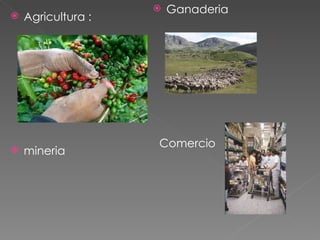 Agricultura : mineria Ganaderia  Comercio 
