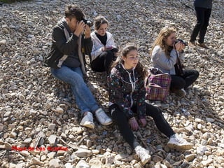 Playa de Las Acacias