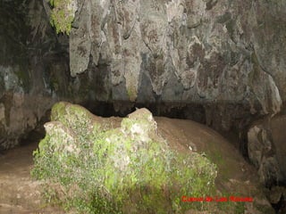 Cueva de Las Raíces