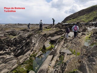 Playa de Bretones
Turbiditas