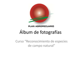 Álbum de fotografías
Curso “Reconocimiento de especies
        de campo natural”
 