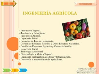 IYA   OA                                                                UNIVERSIDADES




                  INGENIERÍA AGRÍCOLA



               - Producción Vegetal.
               - Jardinería y Paisajismo.
               - Producción Animal.
               - Ingeniería Rural.
               - Proyectos de Ingeniería Agraria.
               - Gestión de Recursos Hídricos y Otros Recursos Naturales.
               - Gestión de Empresas Agrarias y Comercialización.
               - Desarrollo Rural.
               - Tecnología Ambiental.
               - Biotecnología y Mejora Vegetal.
               - Ingeniería cartográfica, geodesia y fotogrametría.
               - Desarrollo e innovación en la agricultura.



                                                                      IES "Ventura Morón"
 I         R     U                                                   Juan Carrasco Moriano
                                                                      Orientador Educativo
 
