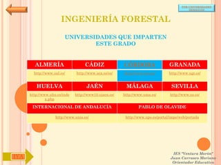 POR UNIVERSIDADES
                                                                                            (ANDALUCÍA)



                       INGENIERÍA FORESTAL

                         UNIVERSIDADES QUE IMPARTEN
                                 ESTE GRADO


        ALMERÍA                     CÁDIZ               CÓRDOBA                  GRANADA
        http://www.ual.es/      http://www.uca.es/es/   http://www.uco.es/       http://www.ugr.es/


         HUELVA                      JAÉN                MÁLAGA                   SEVILLA
      http://www.uhu.es/inde   http://www10.ujaen.es/   http://www.uma.es/       http://www.us.es/
               x.php

       INTERNACIONAL DE ANDALUCÍA                               PABLO DE OLAVIDE

                    http://www.unia.es/                  http://www.upo.es/portal/impe/web/portada




                                                                                   IES "Ventura Morón"
IYA                                                                               Juan Carrasco Moriano
                                                                                   Orientador Educativo
 
