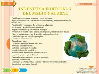 IYA   OA                                                                                UNIVERSIDADES



                INGENIERÍA FORESTAL Y
                  DEL MEDIO NATURAL
      - Gestión de empresas de proyectos y obras forestales.
      - Aprovechamiento de recursos forestales maderables y no maderables (corcho,
      piñones, etc.).
      - Planiﬁcación y ordenación del territorio y del paisaje.
      - Selvicultura y gestión forestal sostenible.
      - Repoblación forestal y restauración ecológica.
      - Protección de montes frente a incendios forestales, enfermedades y plagas.
      - Biotecnología y producción de semillas y plantas forestales.
      - Gestión de espacios naturales protegidos.
      - Gestión de fauna silvestre.
      - Acuicultura y caza.
      - Economía, sociología y desarrollo rural.
      - Parques y áreas recreativas.
      - Industrias y empresas forestales.
      - Ingeniería forestal e hidráulica.
      - Mecanización, construcción e infraestructuras.
      - Ingeniería y tecnología ambiental.
      - Evaluación y corrección del impacto ambiental.
      - Proyectos y consultoría.
      - Evaluación y certiﬁcación de sistemas y recursos forestales y naturales.
      - Desarrollo e innovación forestal

                                                                                      IES "Ventura Morón"
 I         R        U                                                                Juan Carrasco Moriano
                                                                                      Orientador Educativo
 