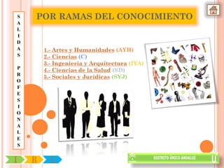 S   POR RAMAS DEL CONOCIMIENTO
A
L
I
D
A       1.- Artes y Humanidades (AYH)
S       2.- Ciencias (C)
        3.- Ingeniería y Arquitectura (IYA)
P       4.- Ciencias de la Salud (SD)
R
        5.- Sociales y Jurídicas (SYJ)
O
F
E
S
I
O
N
A
L
E
S


I   R     U
 