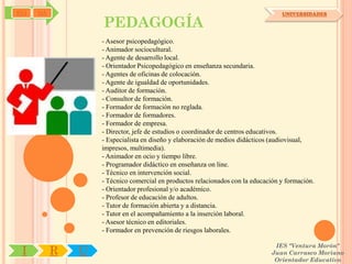SYJ   OA                                                                          UNIVERSIDADES

                   PEDAGOGÍA
                   - Asesor psicopedagógico.
                   - Animador sociocultural.
                   - Agente de desarrollo local.
                   - Orientador Psicopedagógico en enseñanza secundaria.
                   - Agentes de oficinas de colocación.
                   - Agente de igualdad de oportunidades.
                   - Auditor de formación.
                   - Consultor de formación.
                   - Formador de formación no reglada.
                   - Formador de formadores.
                   - Formador de empresa.
                   - Director, jefe de estudios o coordinador de centros educativos.
                   - Especialista en diseño y elaboración de medios didácticos (audiovisual,
                   impresos, multimedia).
                   - Animador en ocio y tiempo libre.
                   - Programador didáctico en enseñanza on line.
                   - Técnico en intervención social.
                   - Técnico comercial en productos relacionados con la educación y formación.
                   - Orientador profesional y/o académico.
                   - Profesor de educación de adultos.
                   - Tutor de formación abierta y a distancia.
                   - Tutor en el acompañamiento a la inserción laboral.
                   - Asesor técnico en editoriales.
                   - Formador en prevención de riesgos laborales.

                                                                               IES "Ventura Morón"
 I         R   U                                                              Juan Carrasco Moriano
                                                                               Orientador Educativo
 