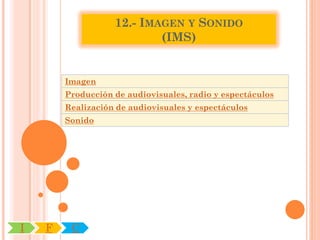 12.- IMAGEN Y SONIDO
                           (IMS)


        Imagen
        Producción de audiovisuales, radio y espectáculos
        Realización de audiovisuales y espectáculos
        Sonido




I   F    C
 